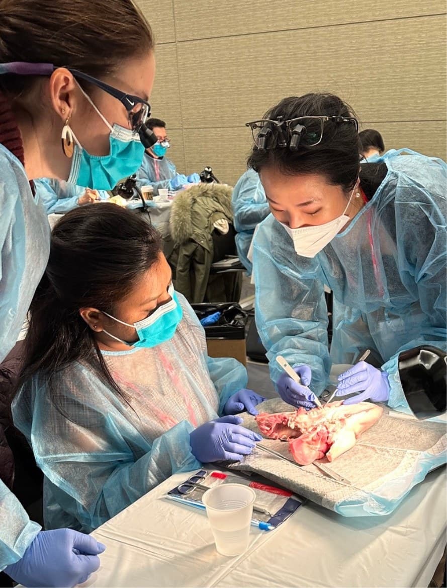 View photograph 7 of 7: Dr Alice Whang guiding a participant at a hands-on surgical workshop